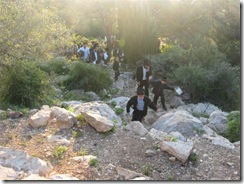 birkat_hama (4)